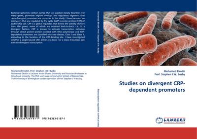 Studies on divergent CRP-dependent promoters