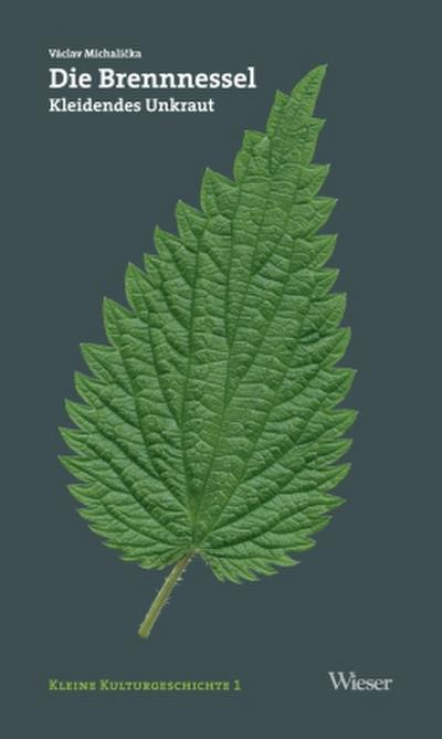 Die Brennnessel