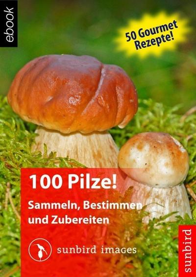 100 Pilze! Sammeln, Bestimmen und Zubereiten