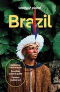 Brazil Country Guide
