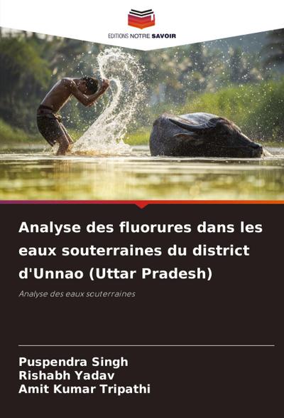 Analyse des fluorures dans les eaux souterraines du district d’Unnao (Uttar Pradesh)