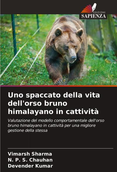 Uno spaccato della vita dell’orso bruno himalayano in cattività
