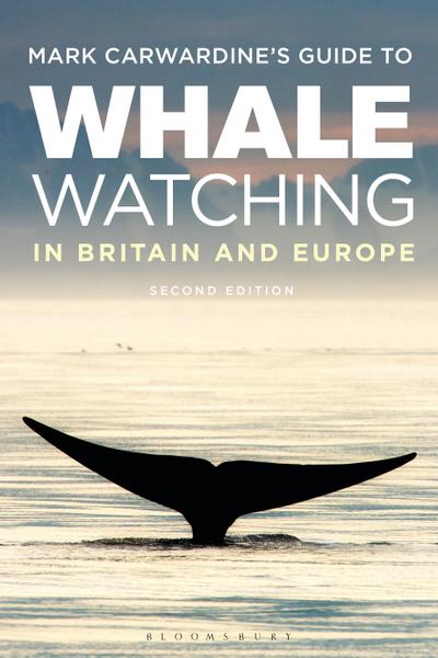 Mark Carwardine’s Guide To Whale Watching In Britain And Europe