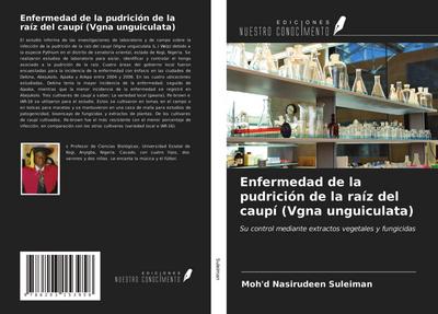Enfermedad de la pudrición de la raíz del caupí (Vgna unguiculata)