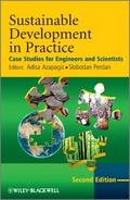 Sustainable Development in Practice