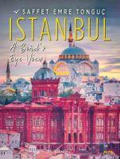 Istanbul A Birds Eye View Hardcover Ciltli