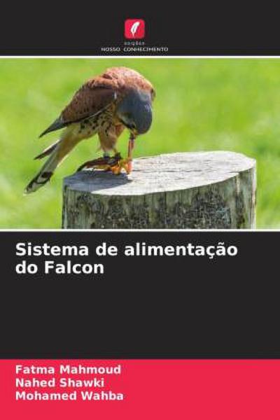 Sistema de alimentação do Falcon