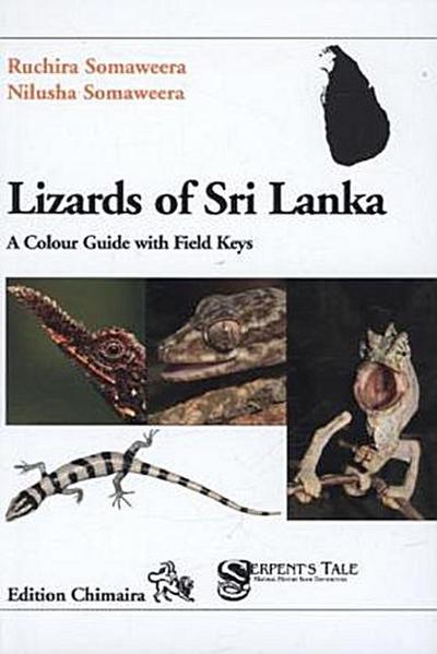 Lizards of Sri Lanka