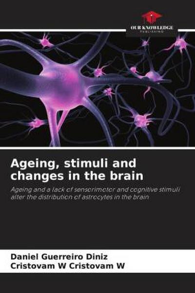 Ageing, stimuli and changes in the brain