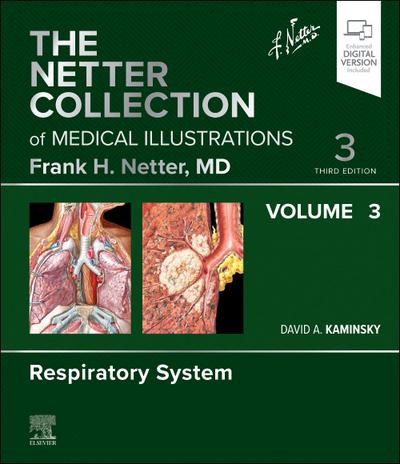 The Netter Collection of Medical Illustrations: Respiratory System, Volume 3
