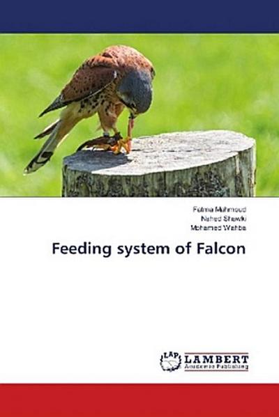 Feeding system of Falcon