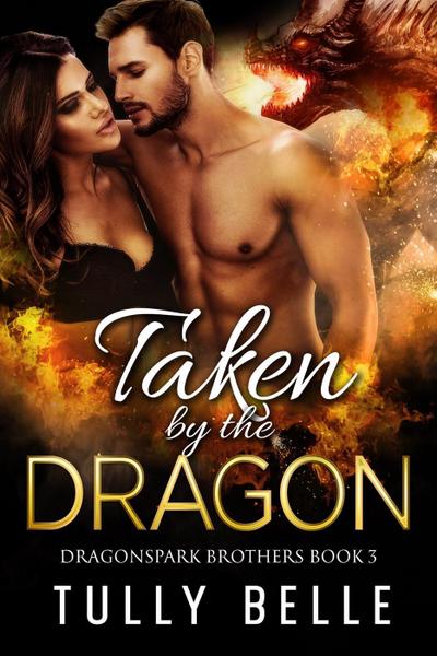 Taken by the Dragon (Dragonspark Brothers, #3)