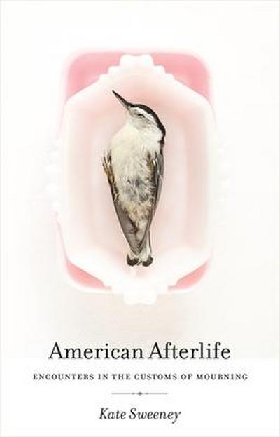 American Afterlife
