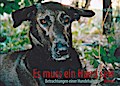 Es muss ein Hund sein