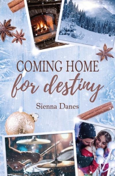 Coming home for destiny: (Love in Alaska 4)