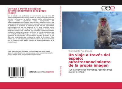 Un viaje a través del espejo: autorreconocimiento de la propia imagen