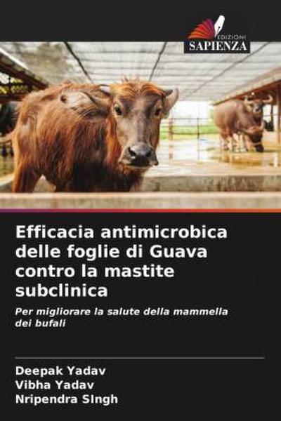 Efficacia antimicrobica delle foglie di Guava contro la mastite subclinica