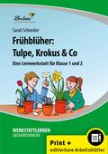 Frühblüher: Tulpe, Krokus & Co