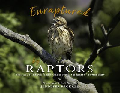 Enraptured by Raptors