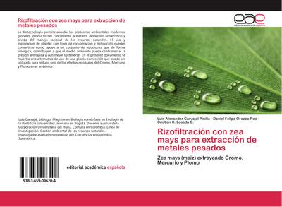 Rizofiltración con zea mays para extracción de metales pesados