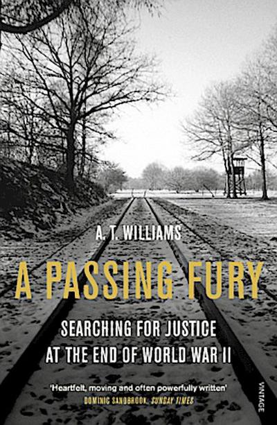A Passing Fury