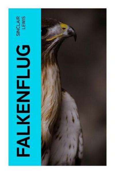 Falkenflug