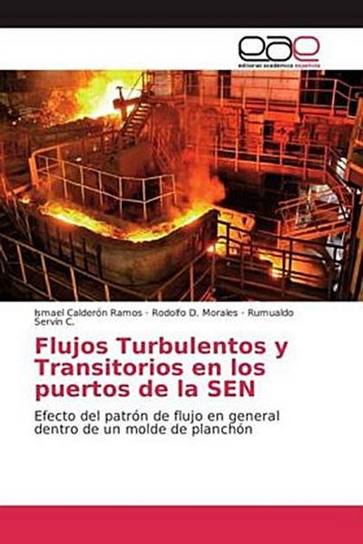 Flujos Turbulentos y Transitorios en los puertos de la SEN
