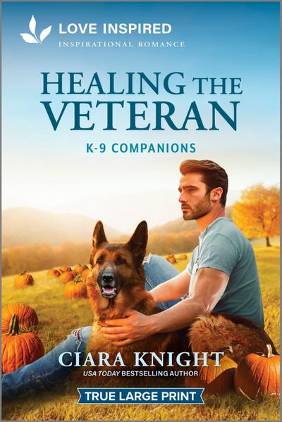 Healing the Veteran