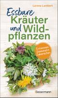 Essbare Kräuter und Wildpflanzen