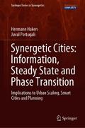 Synergetic Cities: Information, Steady State and Phase Transition