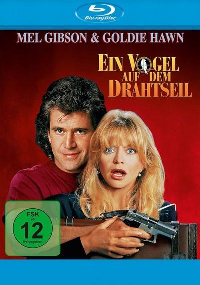 Ein Vogel auf dem Drahtseil