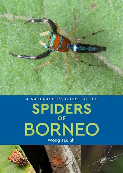 A Naturalist’s Guide to the Spiders of Borneo