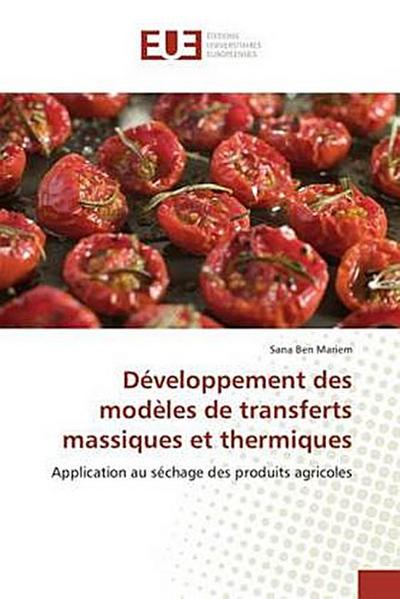 Développement des modèles de transferts massiques et thermiques
