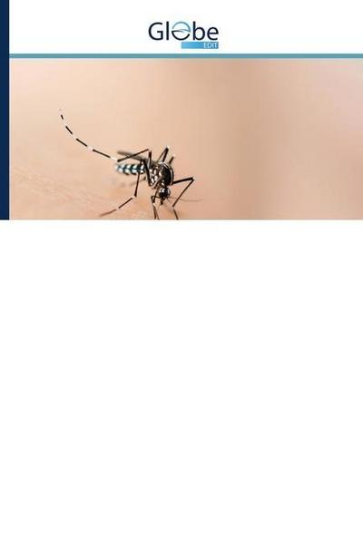 Aedes aegypti