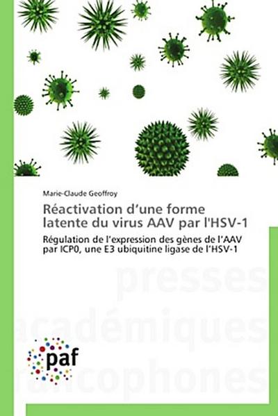 Réactivation d’une forme latente du virus AAV par l’HSV-1