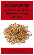 Mealworms: Practical guide for beginners to raise chickens