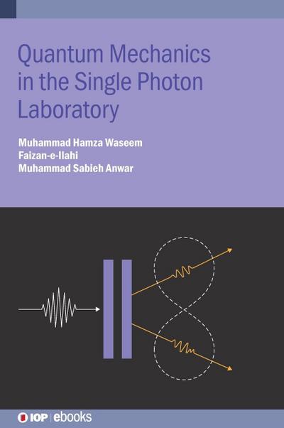 Quantum Mechanics in the Single Photon Laboratory