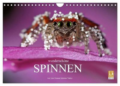 Wunderschöne Spinnen (Wandkalender 2027 DIN A4 quer), CALVENDO Monatskalender