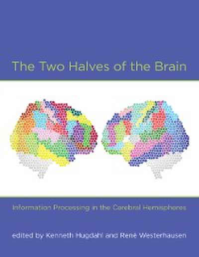 Two Halves of the Brain