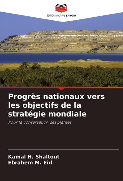 Progrès nationaux vers les objectifs de la stratégie mondiale