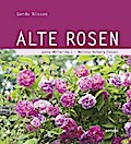 Alte Rosen