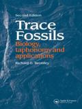 Trace Fossils