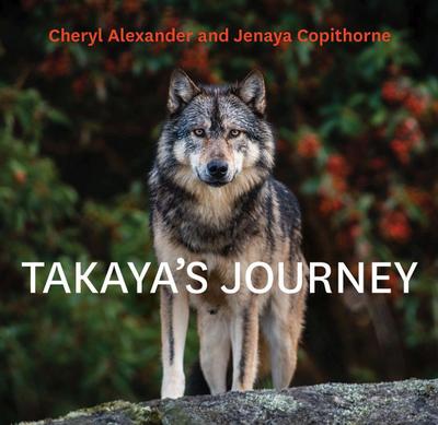 Takaya’s Journey
