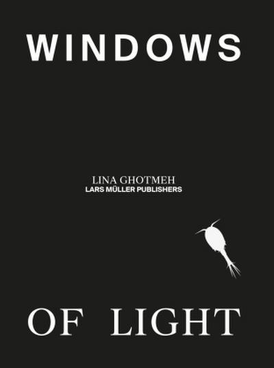 Windows of Light 