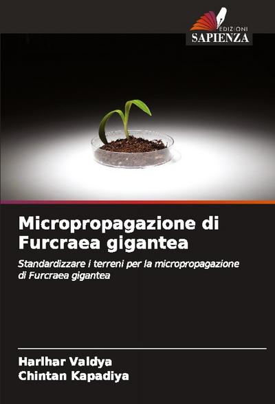 Micropropagazione di Furcraea gigantea