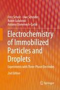 Electrochemistry of Immobilized Particles and Drop