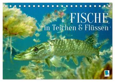 Fische in Teichen und Flüssen (Tischkalender 2026 DIN A5 quer), CALVENDO Monatskalender