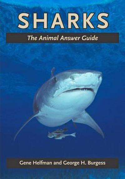 Sharks: The Animal Answer Guide