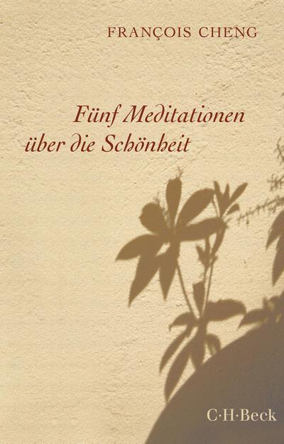 Fünf Meditationen über die Schönheit