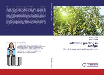 Softwood grafting in Mango